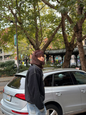 ins10_28629.jpg