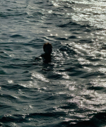 i_2813029.jpg